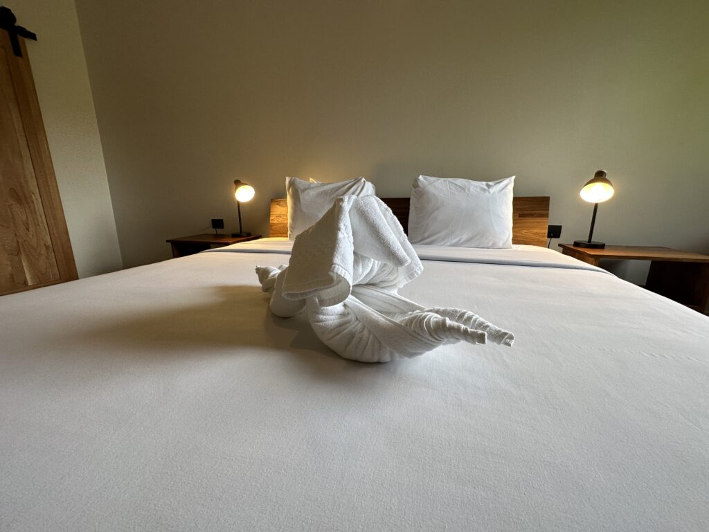 20230720_133633061_iOS-1024x768