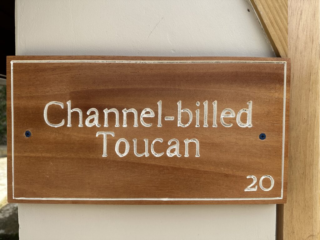 20230720_133924408_iOS-1024x768