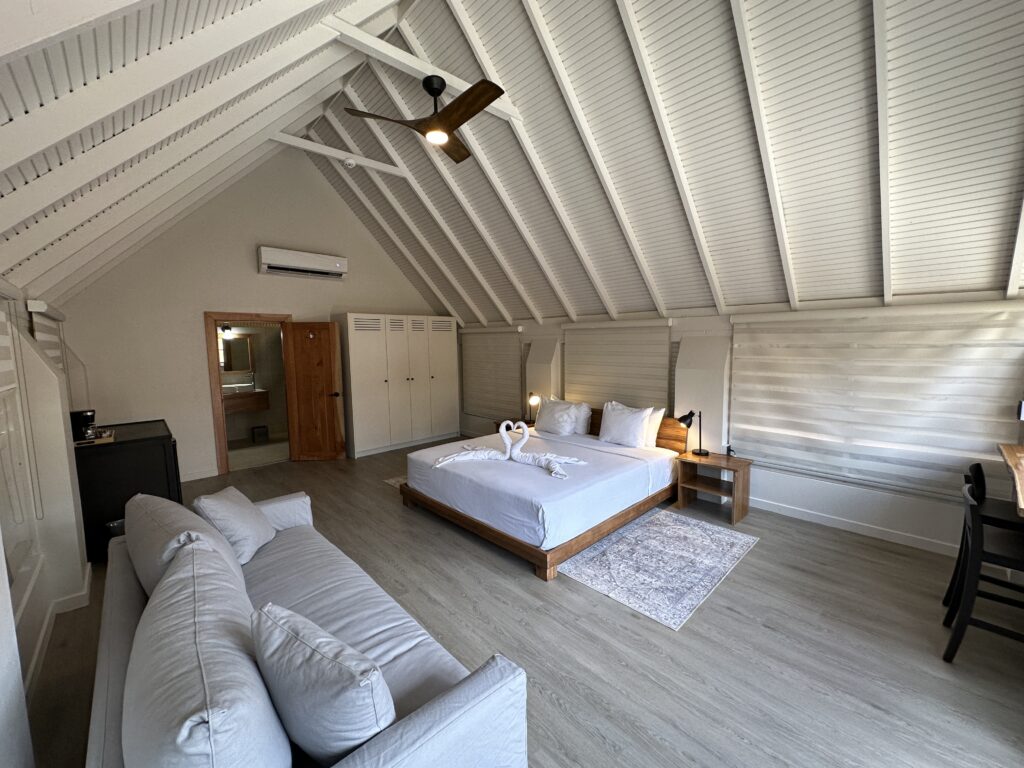 20230720_134149874_iOS-1024x768