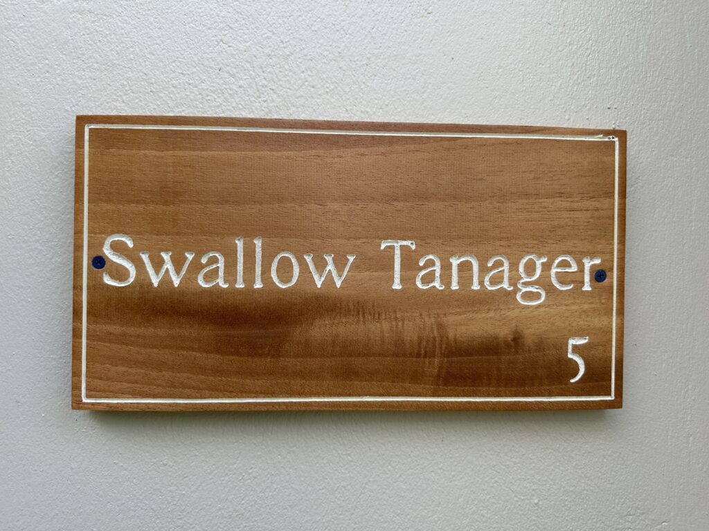 20230720_135348544_iOS-1024x768