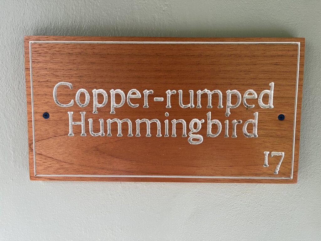 IMG_2679-min-1024x768