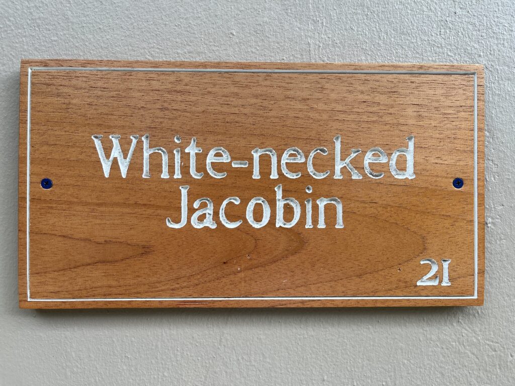 IMG_2700-min-1024x768