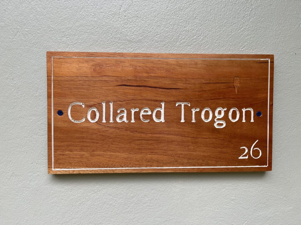 IMG_2718-scaled-1-1024x768