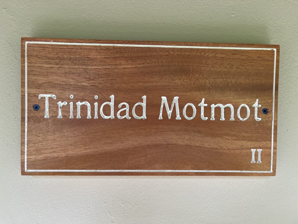 IMG_3052-min-1024x768