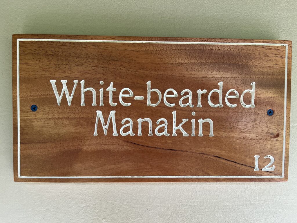 IMG_3053-min-1024x768