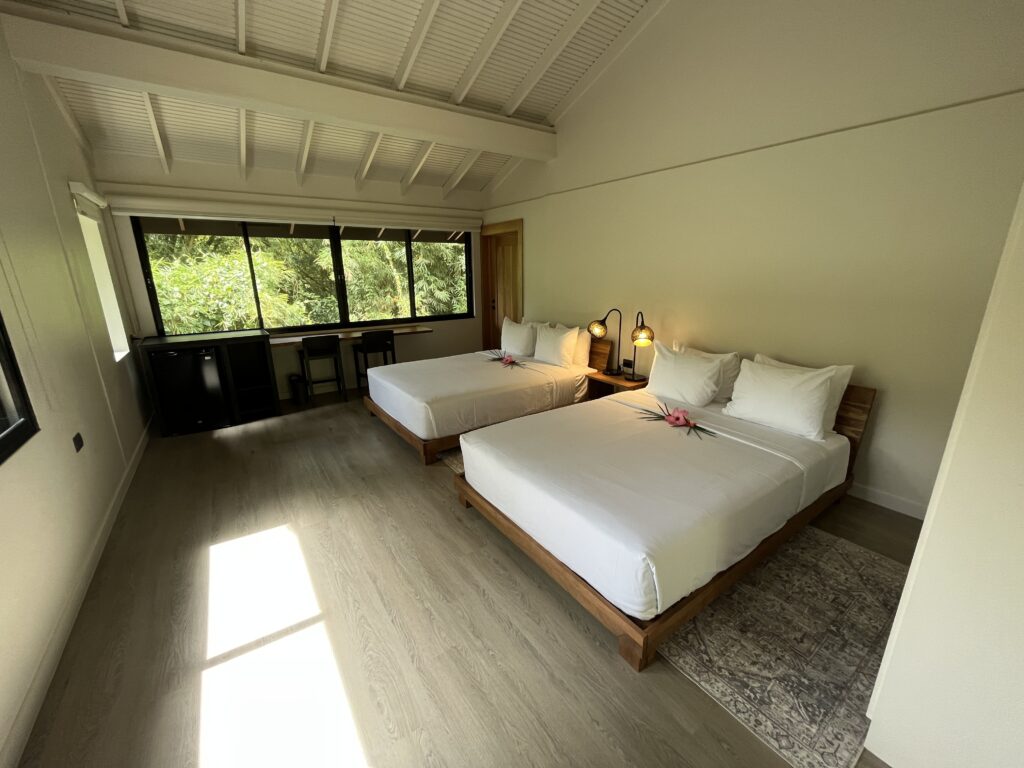 IMG_3054-min-1024x768