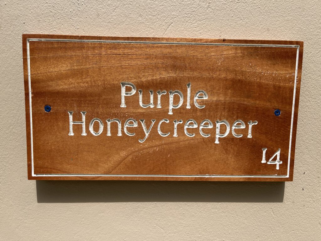 IMG_3078-min-1024x768