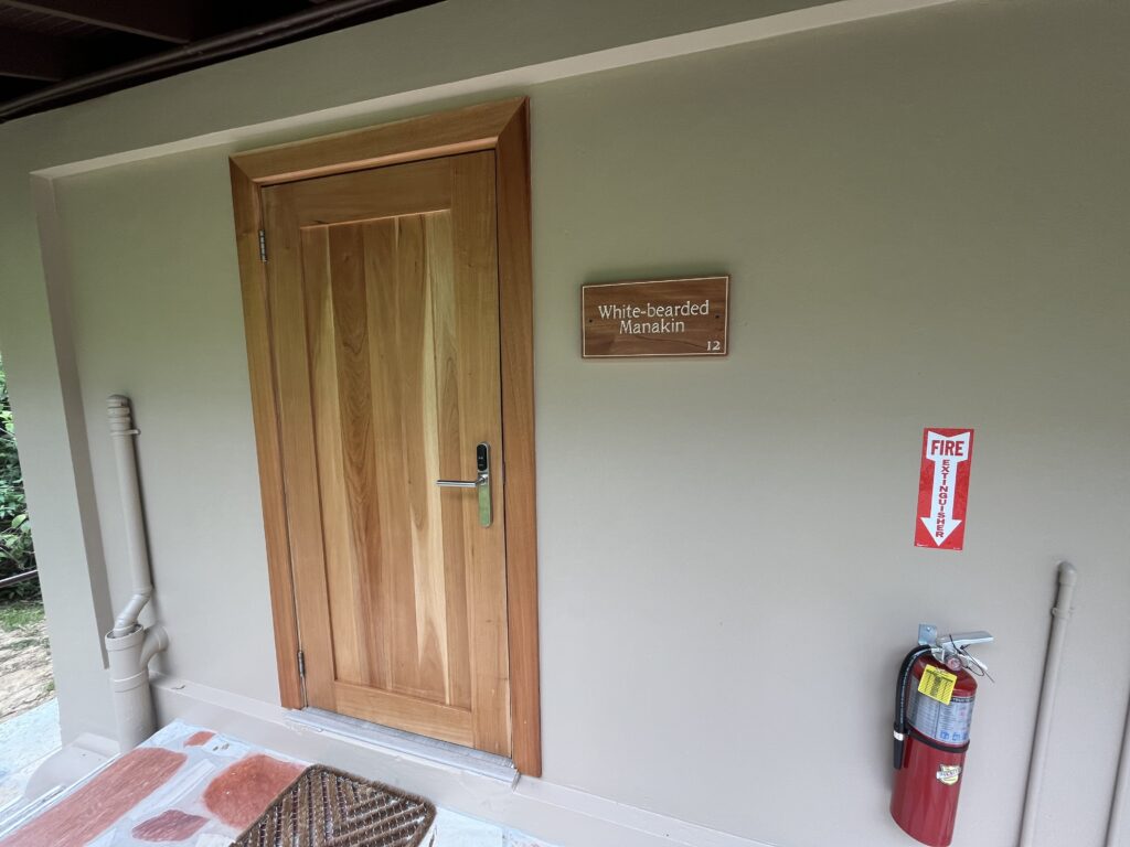 IMG_3090-min-1024x768