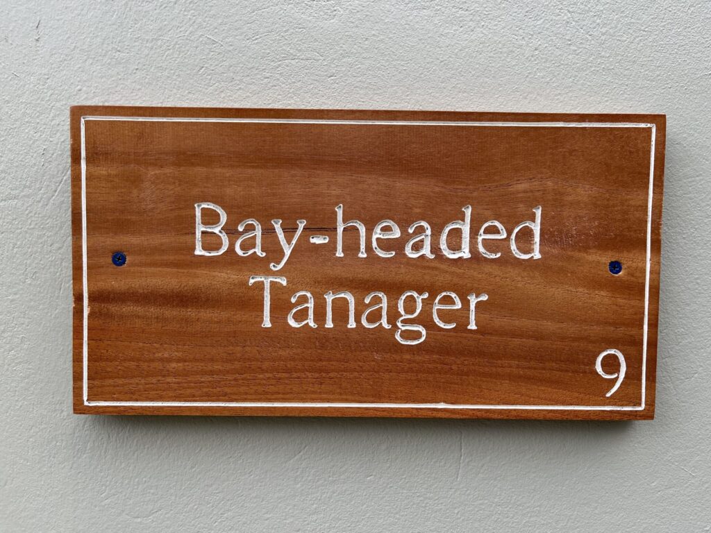 IMG_3101-scaled-1-1024x768