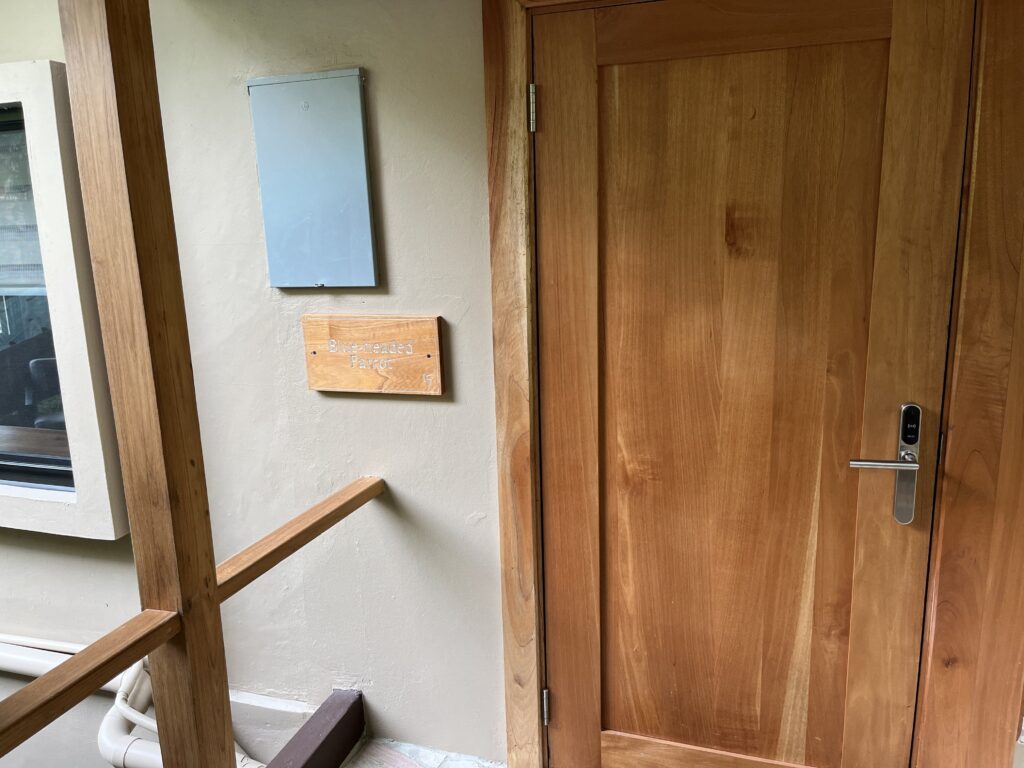 IMG_3195-min-1024x768