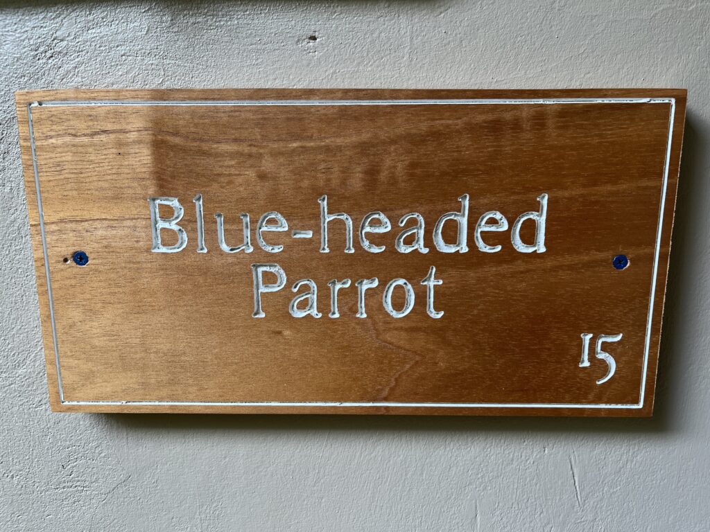 IMG_3196-min-1024x768